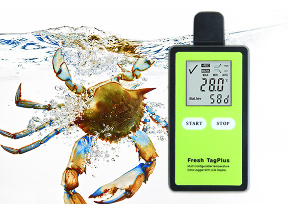 Изображение Купить Логгер температуры Fresh TagPlus(Фреш Таг Плюс),многоразовый, заменяемая батарея, USB, PDF отчет